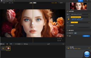 中文版AI图像增强无损放大软件 Aiarty Image Enhancer v2.6 Win便携版