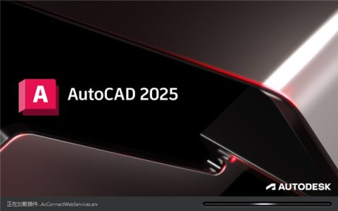 AutoCAD 2025简体中文版 PJ版